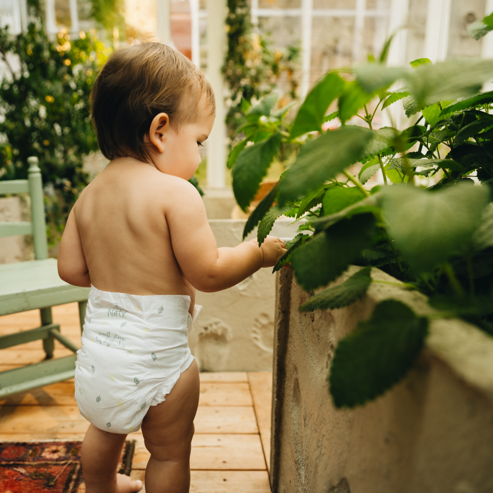 BioEmbrace Diapers Subscription (size 1), , grid, Eco by Naty